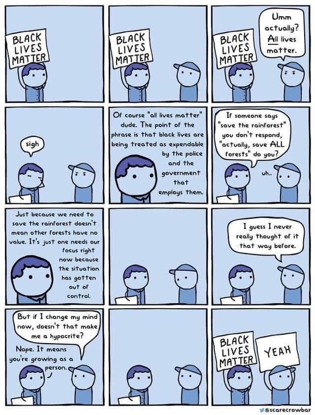 Black Lives Matter v All Lives Matter Cartoon by @scarecrowbar