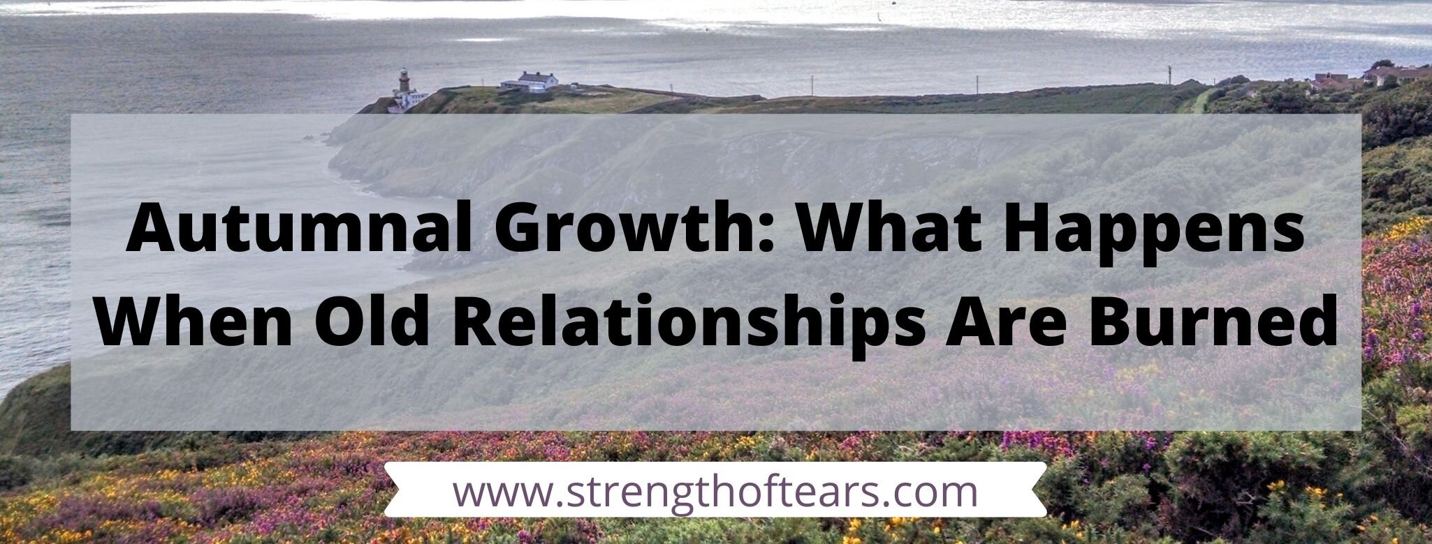 Autumnal Growth: What Happens When Old Relationships Are BurnedThis October has hit me hard with one of those feelings so familiar: chronic illness relationships and trust. I believe we go through seasons of connections and I’ve been burned too many…